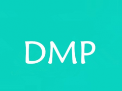 DMP是什么意思？