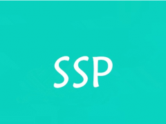 SSP是什么意思？