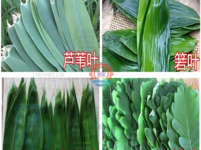 粽叶清洗机 循环水粽叶刷洗机图3