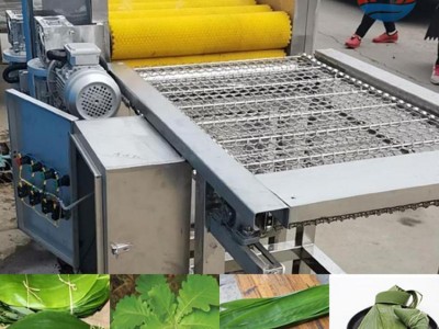 粽叶清洗设备五香粽子粽叶清洗机箬竹粽叶连续式清洗机图2