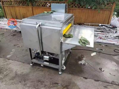 粽叶清洗设备五香粽子粽叶清洗机箬竹粽叶连续式清洗机图3