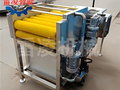 不锈钢粽叶清洗机 芭蕉叶清洗机 粽叶去杂去泥设备图2