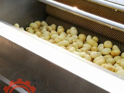 根茎类蔬菜清洗机毛辊清洗机萝卜类洗菜机图2