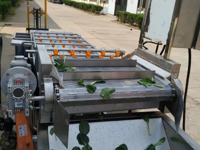 根茎类蔬菜清洗机毛辊清洗机萝卜类洗菜机图3