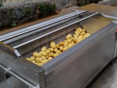 多功能大姜清洗机 商用果蔬泡清洗机 土豆蔬菜全自动清洗线图2