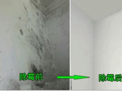 佛山除霉公司，上门除霉消杀，杀毒防霉图2