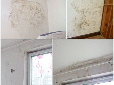 佛山除霉公司，专业上门理霉斑，全屋图2