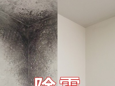 佛山除霉公司，专业上门理霉斑，全屋图3
