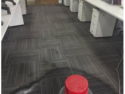 广州专业洗地毯公司，上门洗地毯，办公室地毯清洁图2