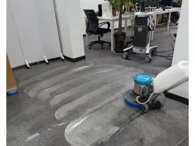 广州专业洗地毯公司，上门洗地毯，办公室地毯清洁图3