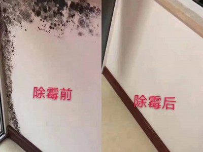 广州除霉公司，全屋除霉，霉渍防霉理图2