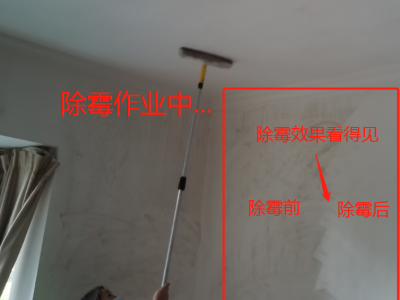 广州除霉公司，全屋除霉，霉渍防霉理图3