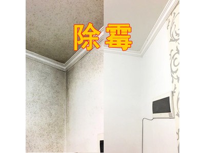 广州除霉公司，全屋除霉防霉，上门服务图3