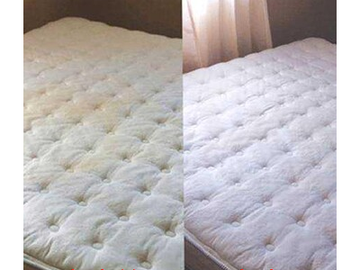 广州除螨虫公司，专业上门除螨，床垫沙发除螨图2