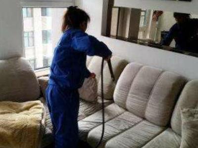 广州除螨虫公司，专业上门除螨，床垫沙发除螨图4