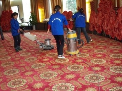 广州洗地毯公司，地毯护理清洁，毛毯除螨虫图3