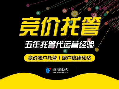 社交媒体广告投放-竞价托管代运营外包公司-真实案例-用数据说话图3