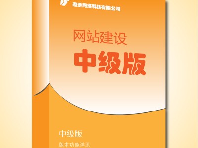 网站建设_网页设计制作公司_中级版图4