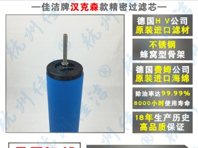 贝斯特O-60E  V-60E精密滤芯图2