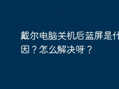 戴尔电脑关机后蓝屏是什么原因？怎么解决呀？