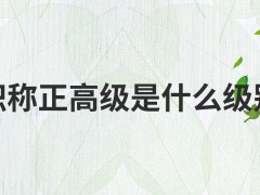 职称正高级是什么级别