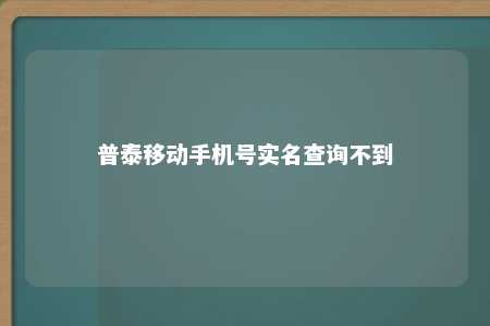 普泰移动手机号实名查询不到