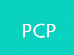 PCP是什么意思？什么是PCP？