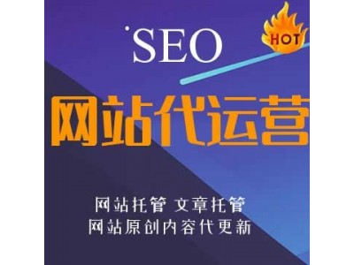 网站托管：SEO文章代更新，网站SEO软文代写代更新图2