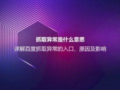 抓取异常是什么意思？详解百度抓取异常的入口、原因及影响