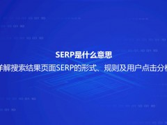 SERP是什么意思？详解搜索结果页面SERP的形式、规则及用户点击分析