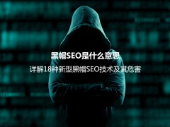 黑帽SEO是什么意思？详解18种新型黑帽SEO技术及其危害