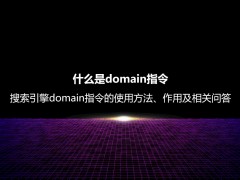 什么是domain指令？搜索引擎domain指令的使用方法及作用