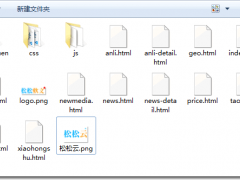 我用AI做了套网站模版，花了480块，但